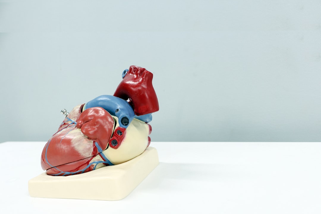 Zátěžové EKG: Jak se správně obléct?